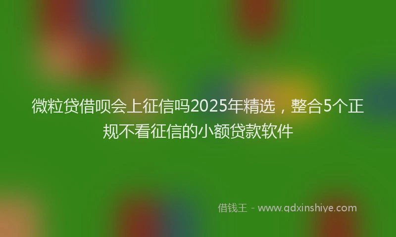 微粒贷借呗会上征信吗2025年精选，整合5个正规不看征信的小额贷款软件