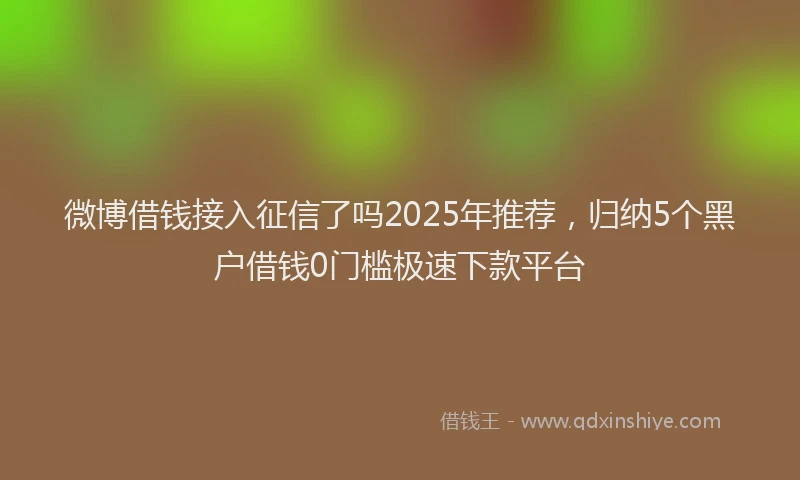 微博借钱接入征信了吗2025年推荐，归纳5个黑户借钱0门槛极速下款平台