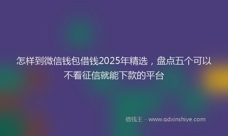 怎样到微信钱包借钱2025年精选，盘点五个可以不看征信就能下款的平台