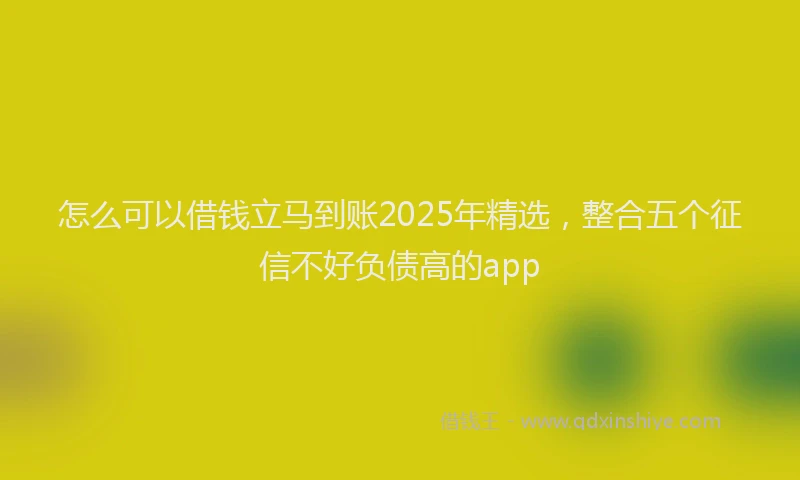 怎么可以借钱立马到账2025年精选，整合五个征信不好负债高的app