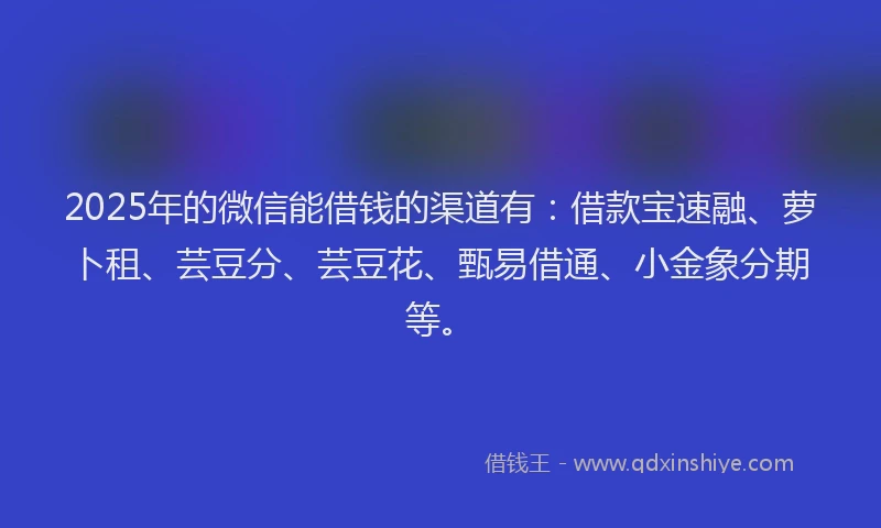 2025年的微信能借钱的渠道有：借款宝速融、萝卜租、芸豆分、芸豆花、甄易借通、小金象分期等。