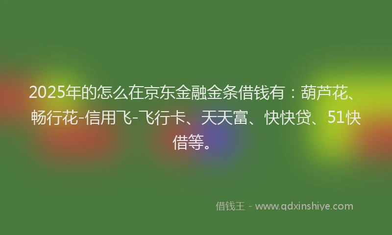 2025年的怎么在京东金融金条借钱有：葫芦花、畅行花-信用飞-飞行卡、天天富、快快贷、51快借等。