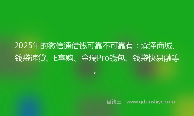2025年的微信通借钱可靠不可靠有：森泽商城、钱袋速贷、E享购、金瑞Pro钱包、钱袋快易融等。