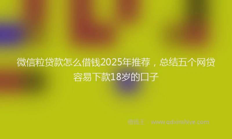 微信粒贷款怎么借钱2025年推荐，总结五个网贷容易下款18岁的口子