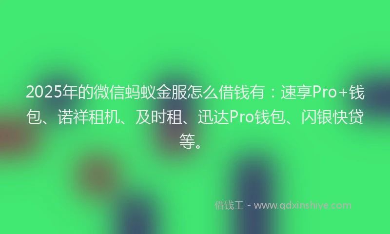 2025年的微信蚂蚁金服怎么借钱有：速享Pro+钱包、诺祥租机、及时租、迅达Pro钱包、闪银快贷等。