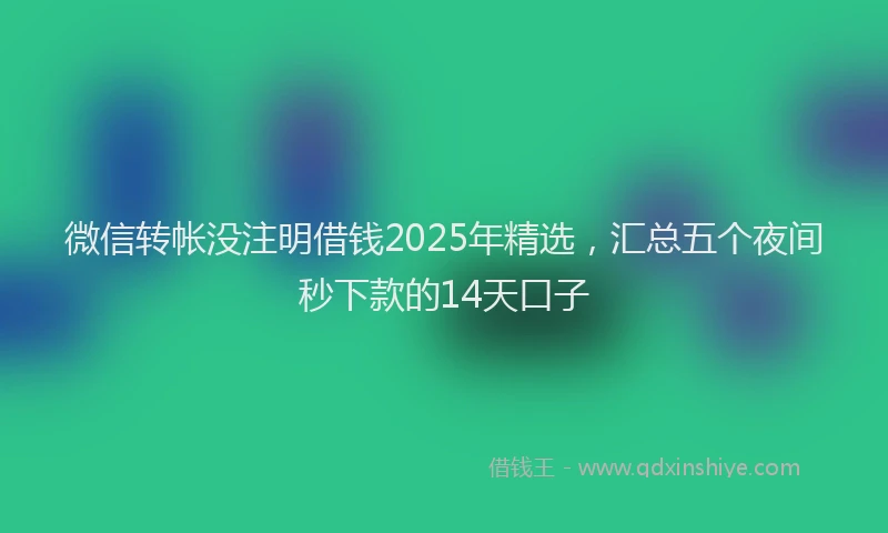 微信转帐没注明借钱2025年精选，汇总五个夜间秒下款的14天口子
