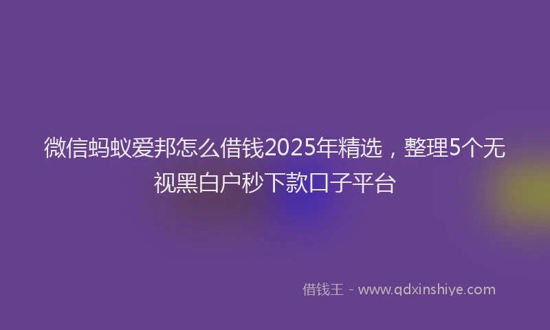微信蚂蚁爱邦怎么借钱2025年精选，整理5个无视黑白户秒下款口子平台
