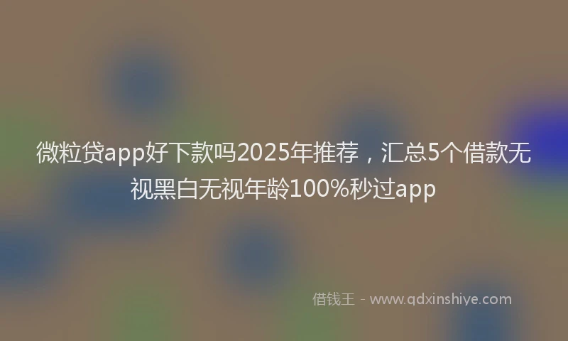 微粒贷app好下款吗2025年推荐，汇总5个借款无视黑白无视年龄100%秒过app