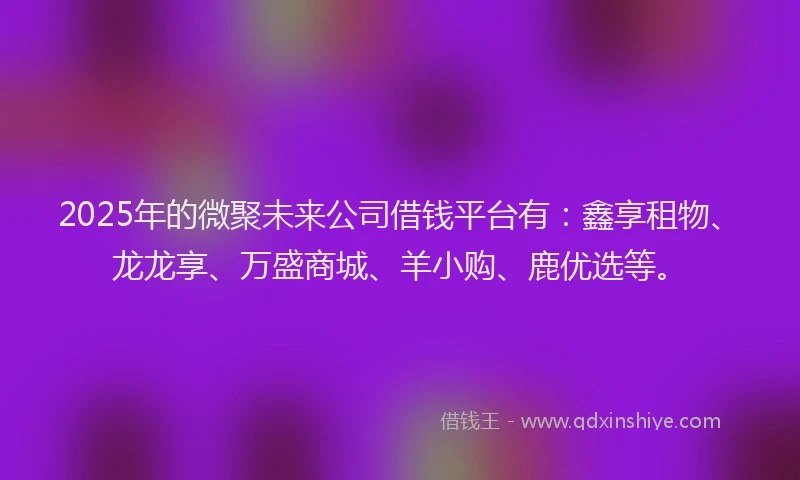2025年的微聚未来公司借钱平台有：鑫享租物、龙龙享、万盛商城、羊小购、鹿优选等。