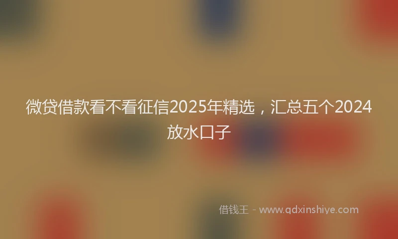 微贷借款看不看征信2025年精选，汇总五个2024放水口子