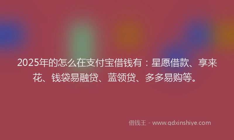 2025年的怎么在支付宝借钱有：星愿借款、享来花、钱袋易融贷、蓝领贷、多多易购等。