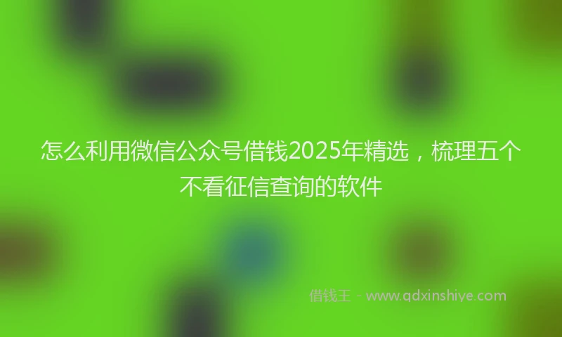 怎么利用微信公众号借钱2025年精选，梳理五个不看征信查询的软件