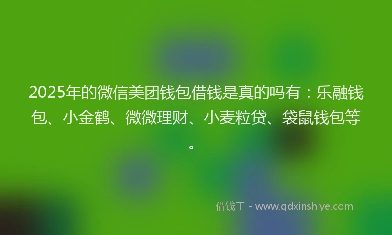 2025年的微信美团钱包借钱是真的吗有：乐融钱包、小金鹤、微微理财、小麦粒贷、袋鼠钱包等。