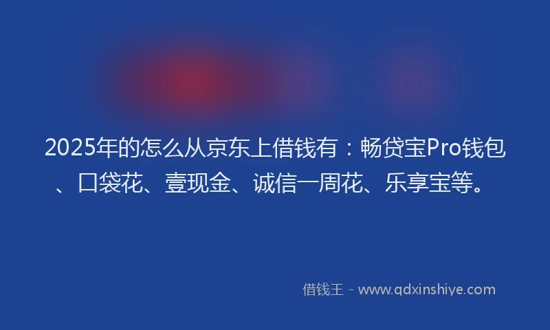 2025年的怎么从京东上借钱有：畅贷宝Pro钱包、口袋花、壹现金、诚信一周花、乐享宝等。