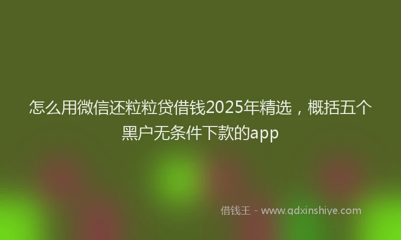 怎么用微信还粒粒贷借钱2025年精选，概括五个黑户无条件下款的app