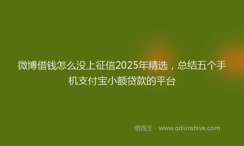 微博借钱怎么没上征信2025年精选，总结五个手机支付宝小额贷款的平台