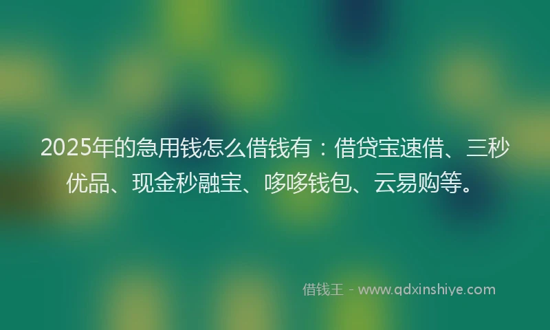 2025年的急用钱怎么借钱有：借贷宝速借、三秒优品、现金秒融宝、哆哆钱包、云易购等。