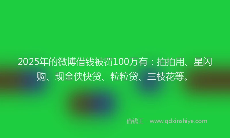 2025年的微博借钱被罚100万有：拍拍用、星闪购、现金侠快贷、粒粒贷、三枝花等。