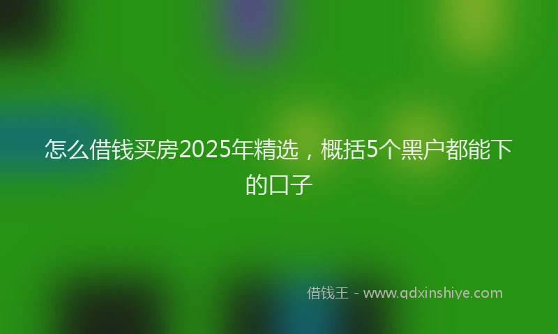 怎么借钱买房2025年精选，概括5个黑户都能下的口子