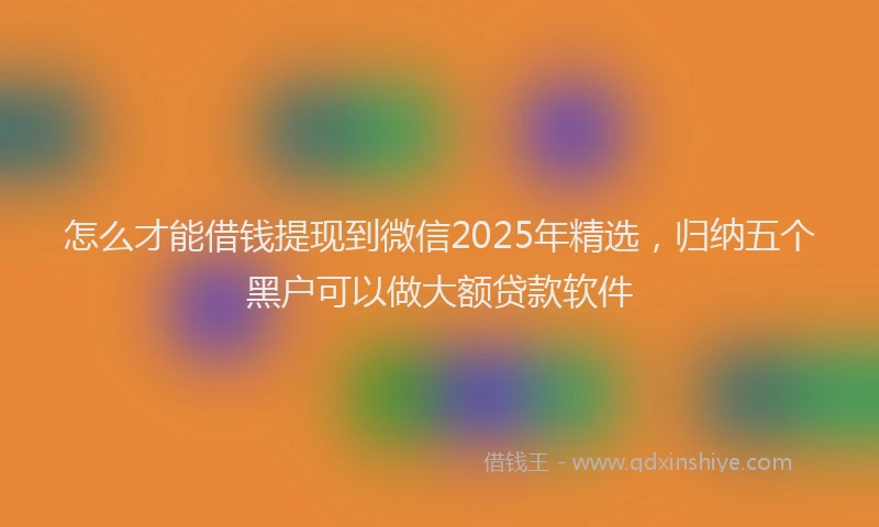 怎么才能借钱提现到微信2025年精选，归纳五个黑户可以做大额贷款软件