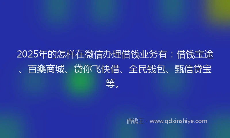 2025年的怎样在微信办理借钱业务有：借钱宝途、百樂商城、贷你飞快借、全民钱包、甄信贷宝等。
