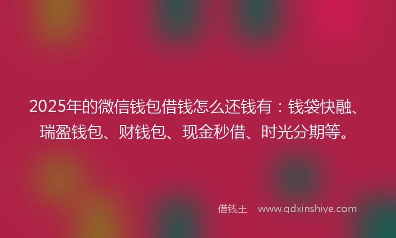 2025年的微信钱包借钱怎么还钱有：钱袋快融、瑞盈钱包、财钱包、现金秒借、时光分期等。