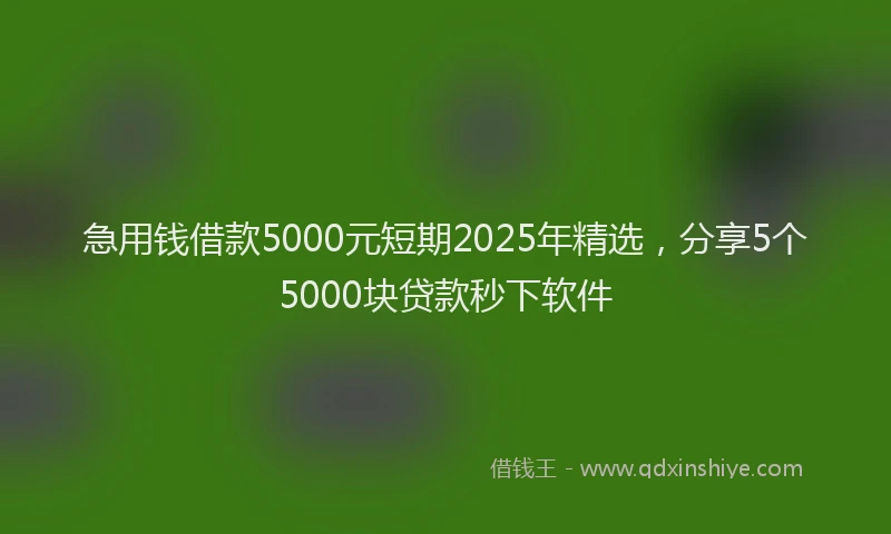 急用钱借款5000元短期2025年精选，分享5个5000块贷款秒下软件