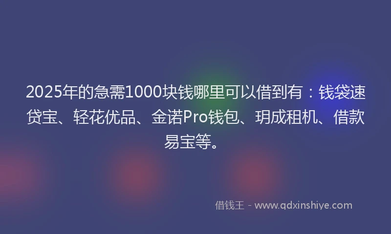 2025年的急需1000块钱哪里可以借到有：钱袋速贷宝、轻花优品、金诺Pro钱包、玥成租机、借款易宝等。