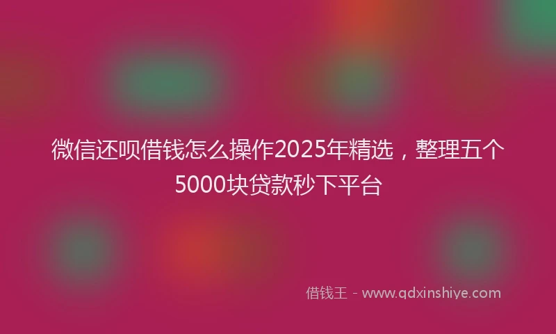 微信还呗借钱怎么操作2025年精选，整理五个5000块贷款秒下平台