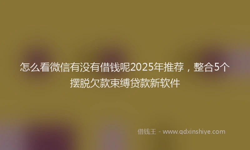 怎么看微信有没有借钱呢2025年推荐，整合5个摆脱欠款束缚贷款新软件
