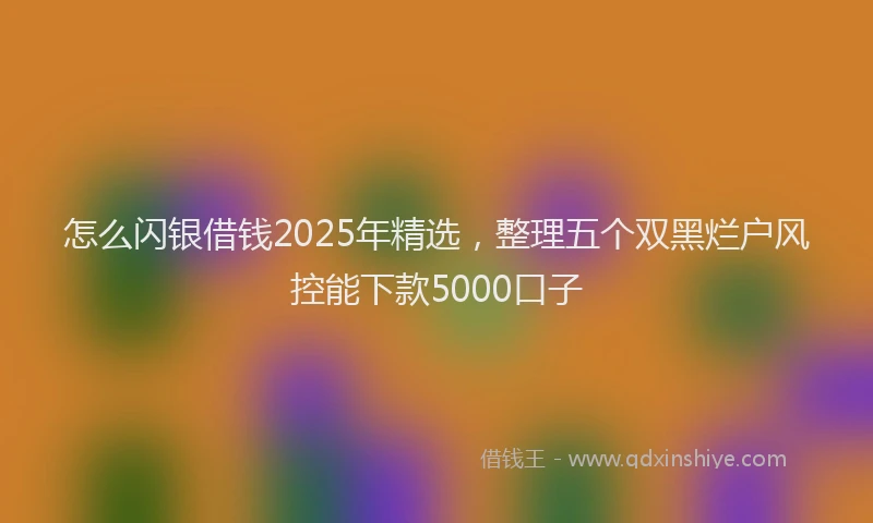 怎么闪银借钱2025年精选，整理五个双黑烂户风控能下款5000口子