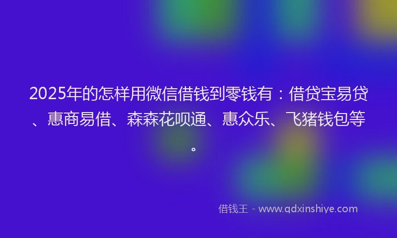 2025年的怎样用微信借钱到零钱有：借贷宝易贷、惠商易借、森森花呗通、惠众乐、飞猪钱包等。