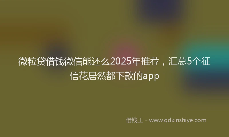 微粒贷借钱微信能还么2025年推荐，汇总5个征信花居然都下款的app