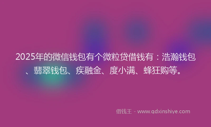 2025年的微信钱包有个微粒贷借钱有：浩瀚钱包、翡翠钱包、疾融金、度小满、蜂狂购等。