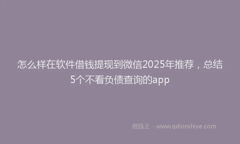 怎么样在软件借钱提现到微信2025年推荐，总结5个不看负债查询的app