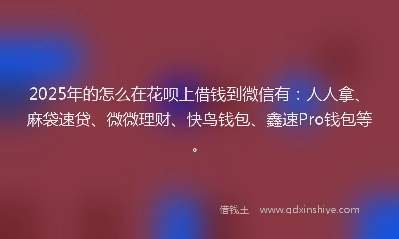 2025年的怎么在花呗上借钱到微信有：人人拿、麻袋速贷、微微理财、快鸟钱包、鑫速Pro钱包等。