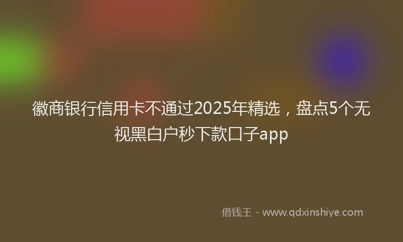 徽商银行信用卡不通过2025年精选，盘点5个无视黑白户秒下款口子app