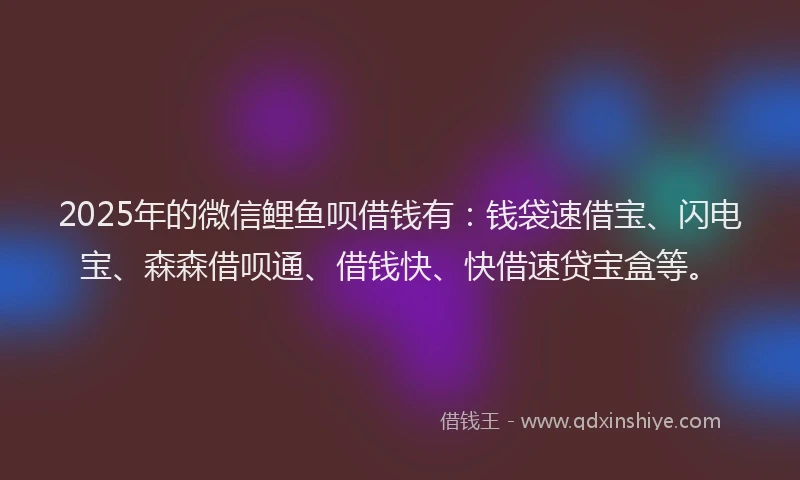 2025年的微信鲤鱼呗借钱有：钱袋速借宝、闪电宝、森森借呗通、借钱快、快借速贷宝盒等。