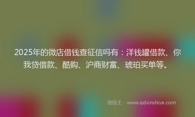 2025年的微店借钱查征信吗有：洋钱罐借款、你我贷借款、酷购、沪商财富、琥珀买单等。