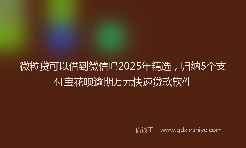 微粒贷可以借到微信吗2025年精选，归纳5个支付宝花呗逾期万元快速贷款软件