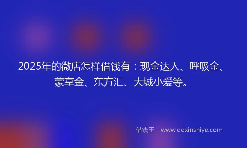 2025年的微店怎样借钱有：现金达人、呼吸金、蒙享金、东方汇、大城小爱等。