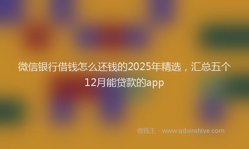 微信银行借钱怎么还钱的2025年精选，汇总五个12月能贷款的app