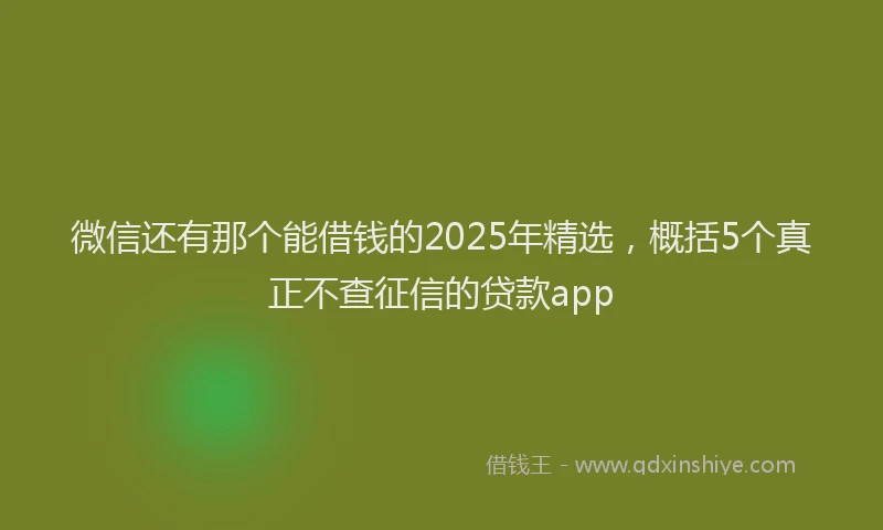 微信还有那个能借钱的2025年精选，概括5个真正不查征信的贷款app