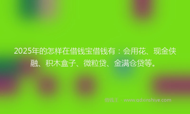 2025年的怎样在借钱宝借钱有：会用花、现金侠融、积木盒子、微粒贷、金满仓贷等。