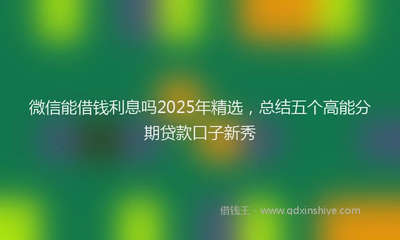 微信能借钱利息吗2025年精选，总结五个高能分期贷款口子新秀