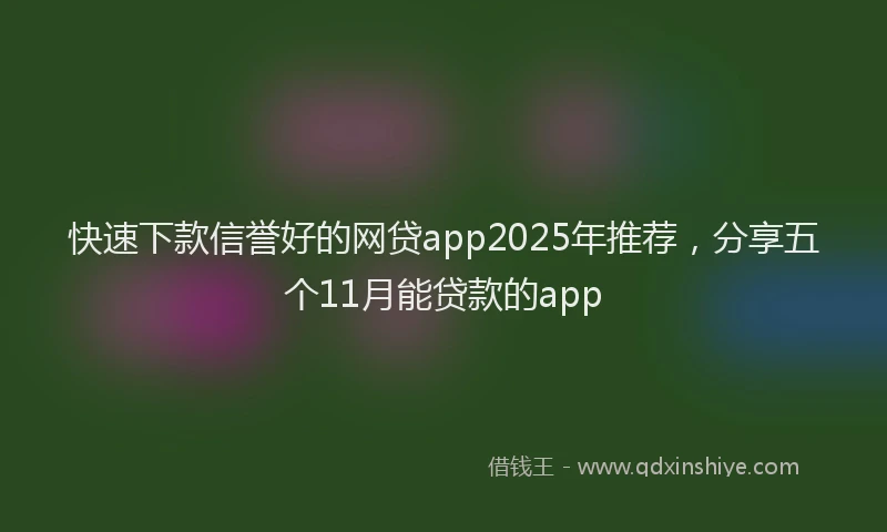 快速下款信誉好的网贷app2025年推荐，分享五个11月能贷款的app