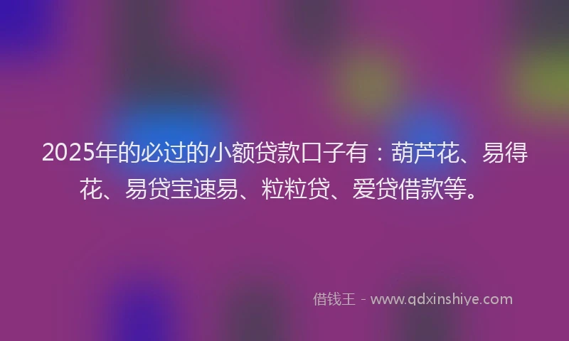 2025年的必过的小额贷款口子有：葫芦花、易得花、易贷宝速易、粒粒贷、爱贷借款等。