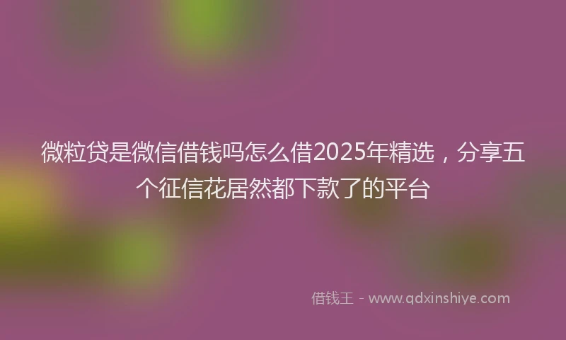 微粒贷是微信借钱吗怎么借2025年精选，分享五个征信花居然都下款了的平台