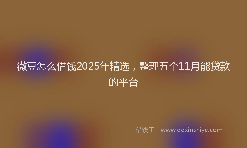微豆怎么借钱2025年精选，整理五个11月能贷款的平台