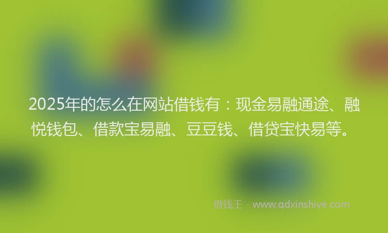 2025年的怎么在网站借钱有：现金易融通途、融悦钱包、借款宝易融、豆豆钱、借贷宝快易等。